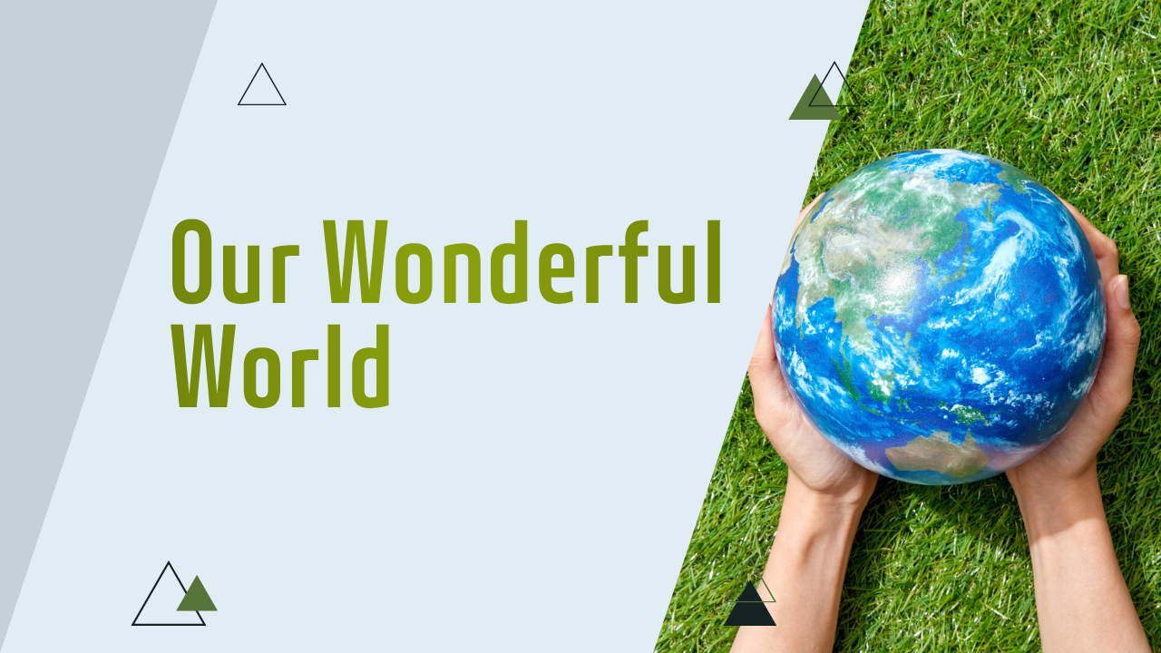 Our Wonderful World