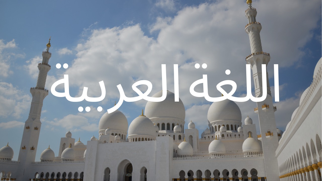اللغه العربيه