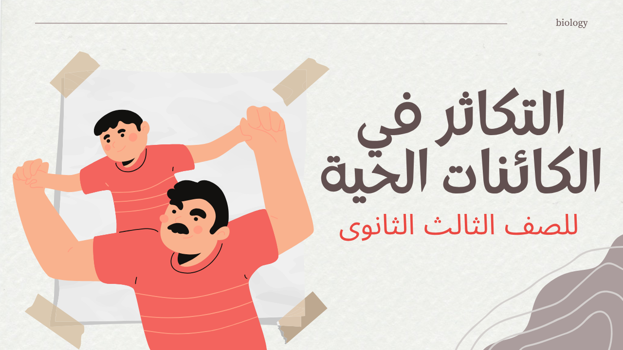 التكاثر في الكائنات الحية